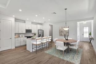 Teak - Regency at Babcock Ranch - Terra Collection: Punta Gorda, Florida - Toll Brothers
