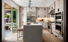 Vista Rose: Placentia, California - Toll Brothers
