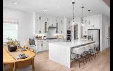 Bronson Peak - Valencia Collection: Apopka, Florida - Toll Brothers