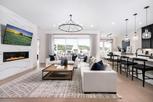 Regency at Chambers Creek - Blossom Collection - Willis, TX