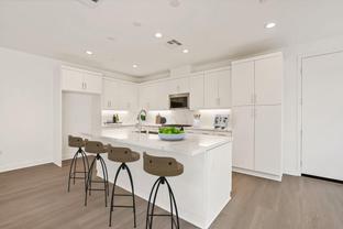 Gravity - Alara at University Park: Palm Desert, California - Toll Brothers