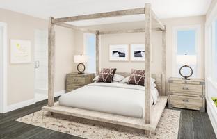 C4 Transitional - Mira Vista: San Diego, California - Toll Brothers