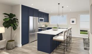 C1 Transitional - Mira Vista: San Diego, California - Toll Brothers