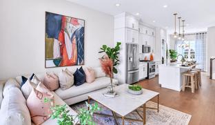 Sampson Modern II - The Brix at The Packing District: Orlando, Florida - Toll Brothers