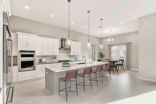 Kaley - Regency at Avenir - Tradewinds Collection: Palm Beach Gardens, Florida - Toll Brothers