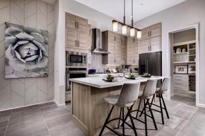 3353 Roebling Opal Way (Lustro)