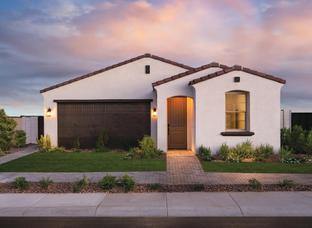 Chapin - Preserve at San Tan - Papago Collection: San Tan Valley, Arizona - Toll Brothers
