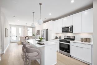 Fernand - Commonwealth Place at Westfields - The Belle Haven Collectio: Chantilly, District Of Columbia - Toll Brothers