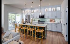 Geddes Vista - Towns Collection: Ann Arbor, Michigan - Toll Brothers