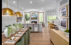 Coldwater Ridge of Northville: Northville, Michigan - Toll Brothers