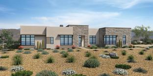 Desert Agave - Toll Brothers at Storyrock - Overlook Collection: Scottsdale, Arizona - Toll Brothers