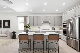 Meranti - Seven Shores - Villa Collection: Naples, Florida - Toll Brothers