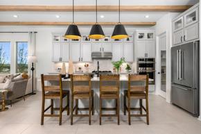 The Ranch at Uptown Celina - Villa Collection - Celina, TX