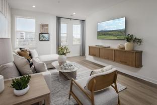 Louis - Commonwealth Place at Westfields - The Belle Haven Collectio: Chantilly, District Of Columbia - Toll Brothers