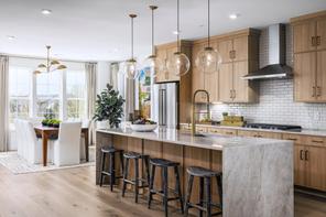 22130 Little Mount Terr (Walney)