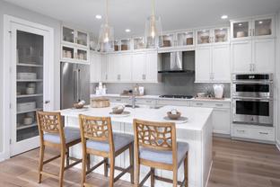 Khaya - Regency at Babcock Ranch - Terra Collection: Punta Gorda, Florida - Toll Brothers