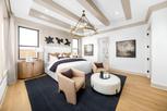 Wandering Creek at Brookhollow - Executive Collection - Prosper, TX