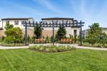 Vista Rose - Placentia, CA