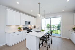 Fernand - Commonwealth Place at Westfields - The Belle Haven Collectio: Chantilly, District Of Columbia - Toll Brothers