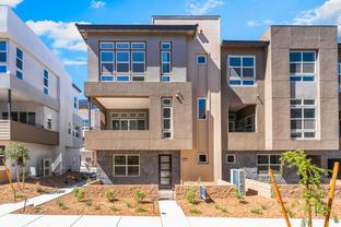 Lustro - Toll Brothers at Inspirada - Amiata Collection: Henderson, Nevada - Toll Brothers