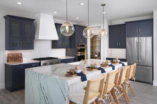 Rainbow - Regency at Babcock Ranch - Sol Collection: Punta Gorda, Florida - Toll Brothers