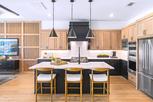 Toll Brothers at Elyson - Sycamore Collection - Katy, TX