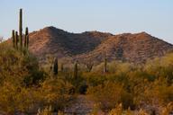 Toll Brothers at Ladera Trails por Toll Brothers en Phoenix-Mesa Arizona