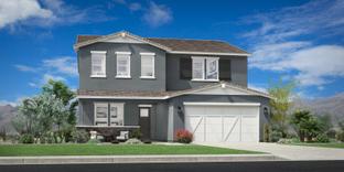 Windrose - Sterling Grove - Brookhaven Collection: Surprise, Arizona - Toll Brothers