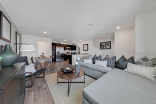 Crimson Plan 523 - Watercolor: North Las Vegas, Nevada - Touchstone Living