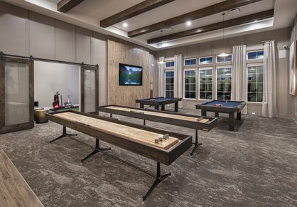 Shuffleboard and Billiards Room