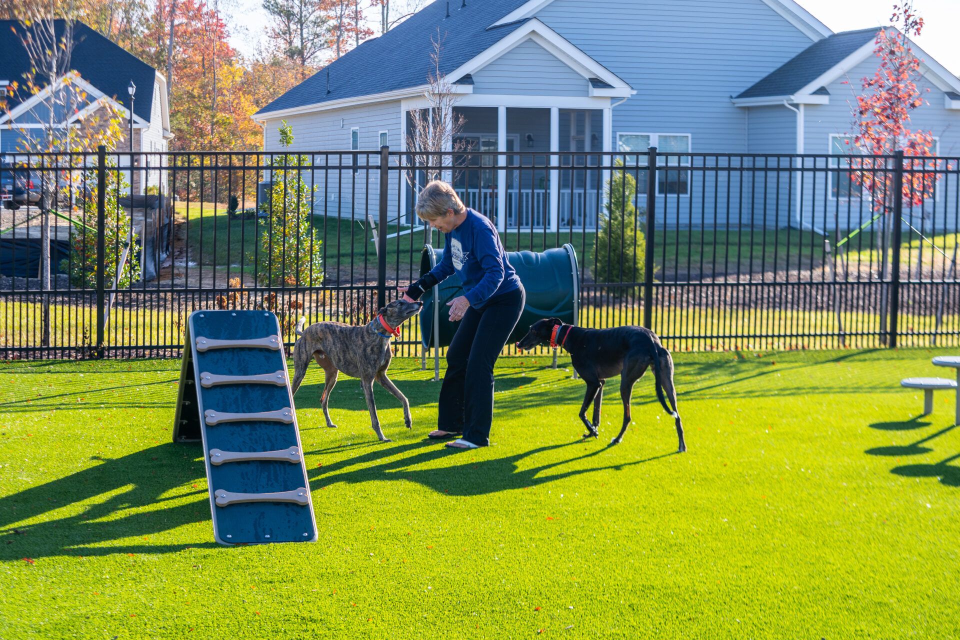 The Clubhouse Dog Park