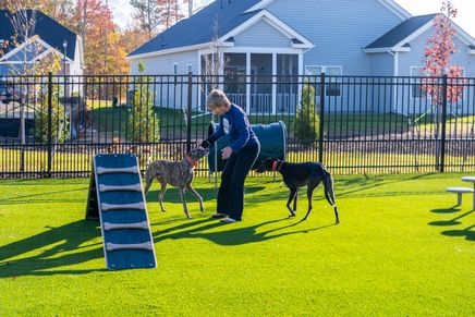 The Clubhouse Dog Park