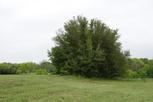 Liberty Meadows - Weatherford, TX