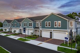 Douglas - Blue Springs Reserve Townhomes: Groveland, Florida - Trinity Family Buildiers