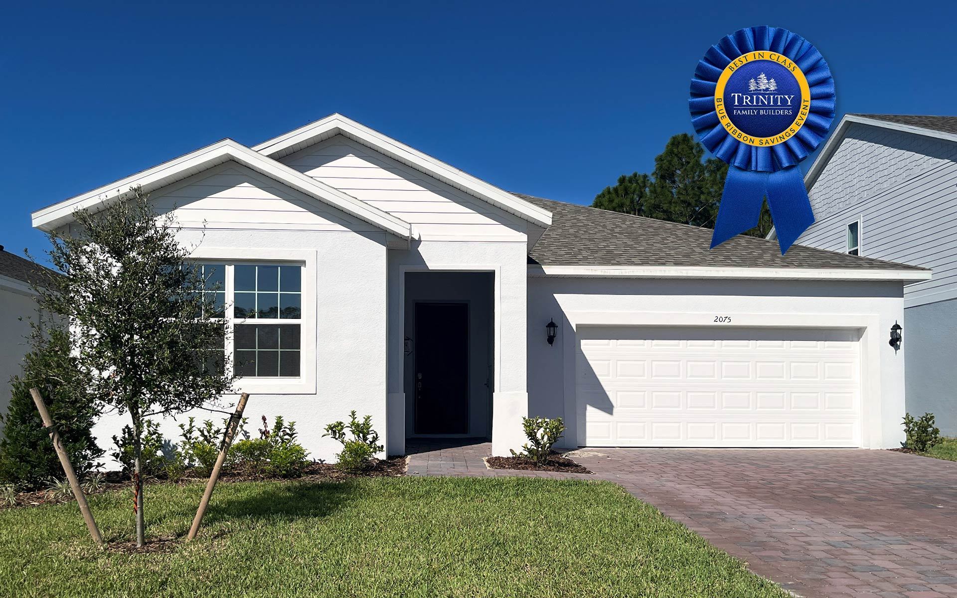 Alexander - Pine Meadows Reserve: Eustis, Florida - Trinity Family Buildiers