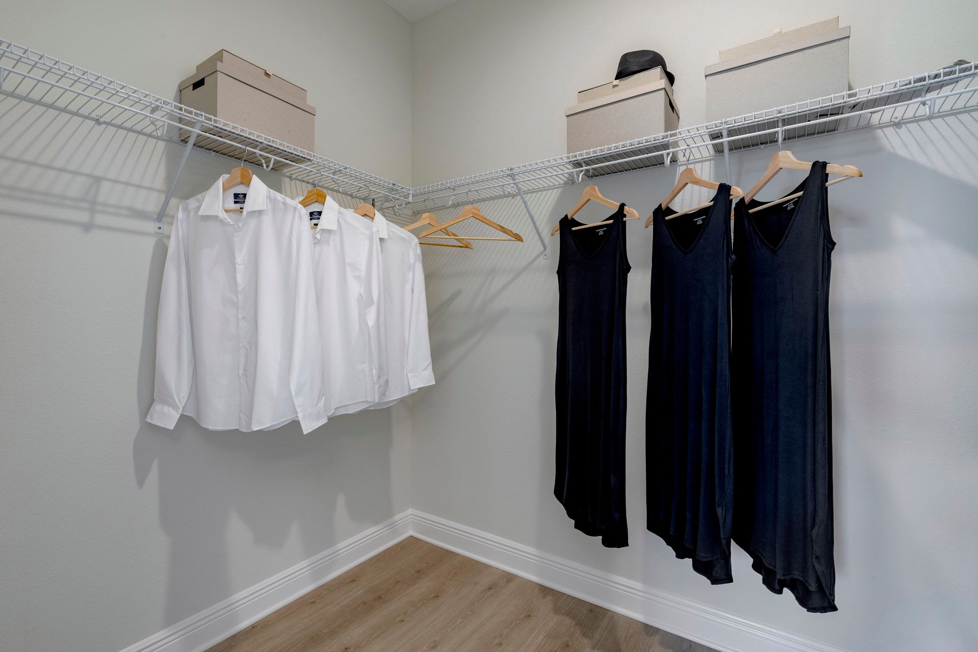 Hayden primary W.I.C.