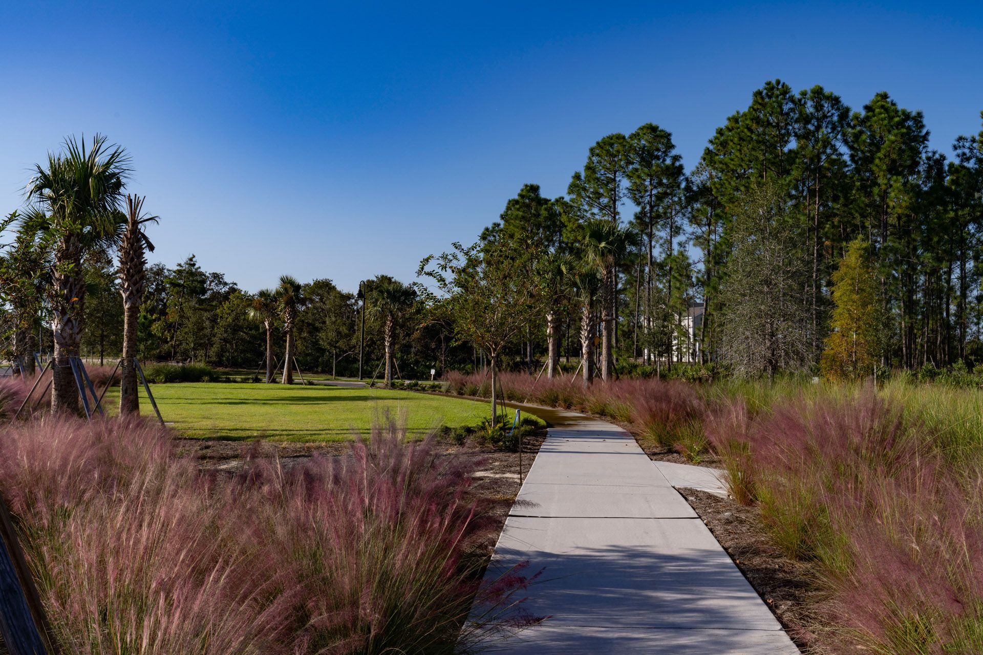 Trinity Gardens in DeLand, FL New Home Community Surrounded by Nature