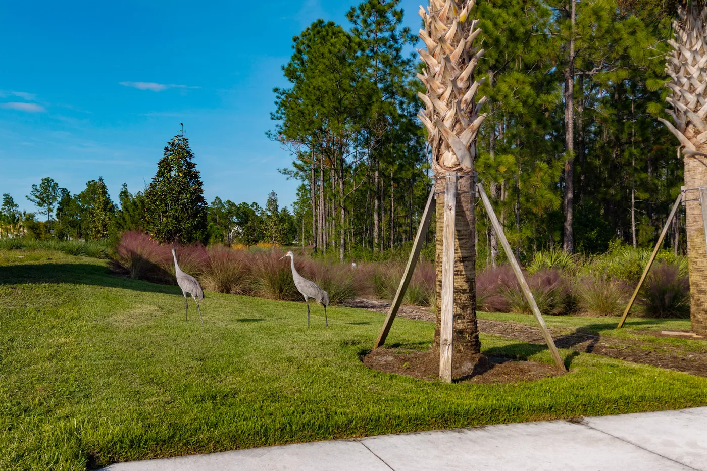 Trinity Gardens community photo 6