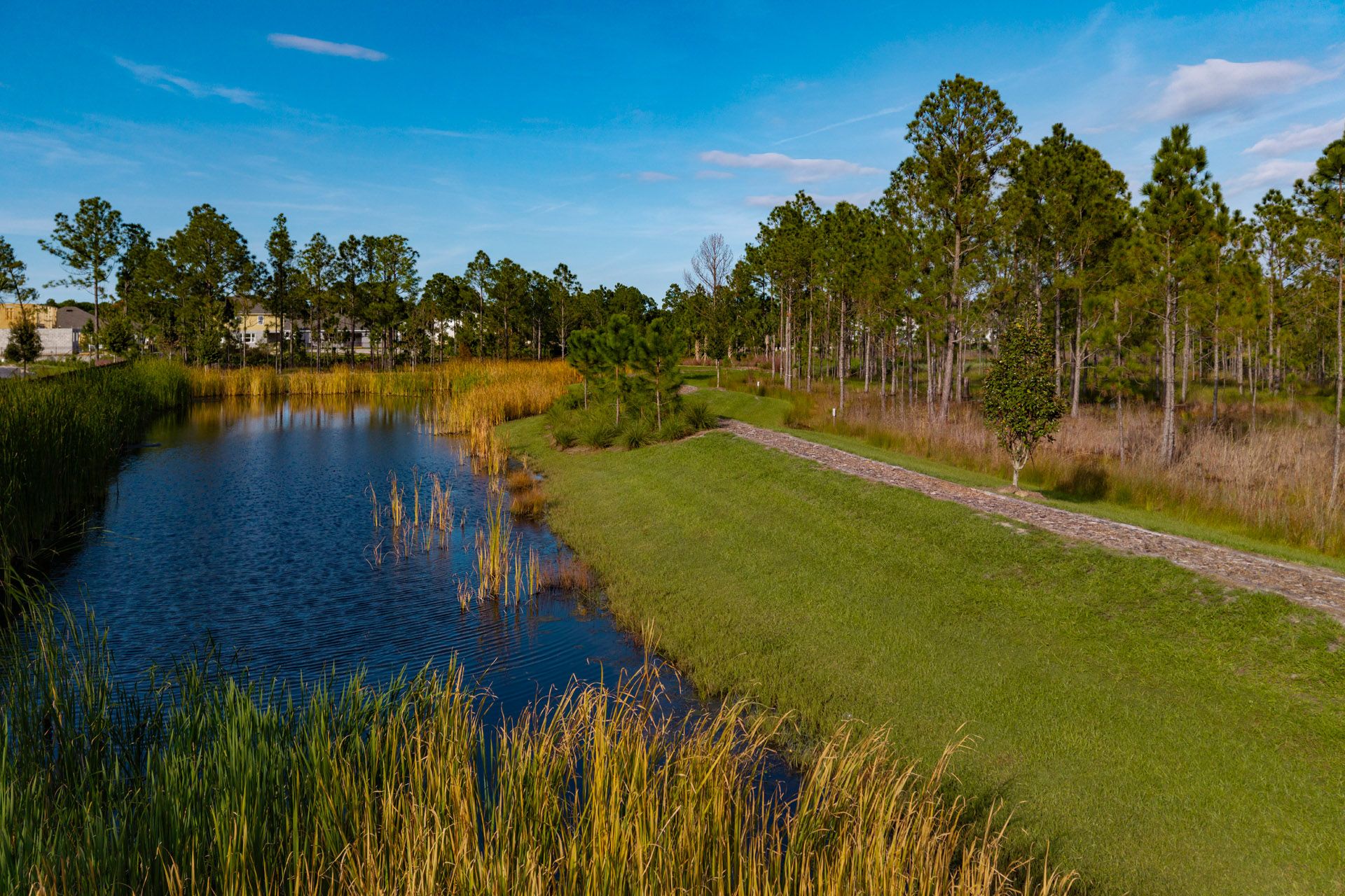 Trinity Gardens in DeLand, FL New Home Community Surrounded by Nature
