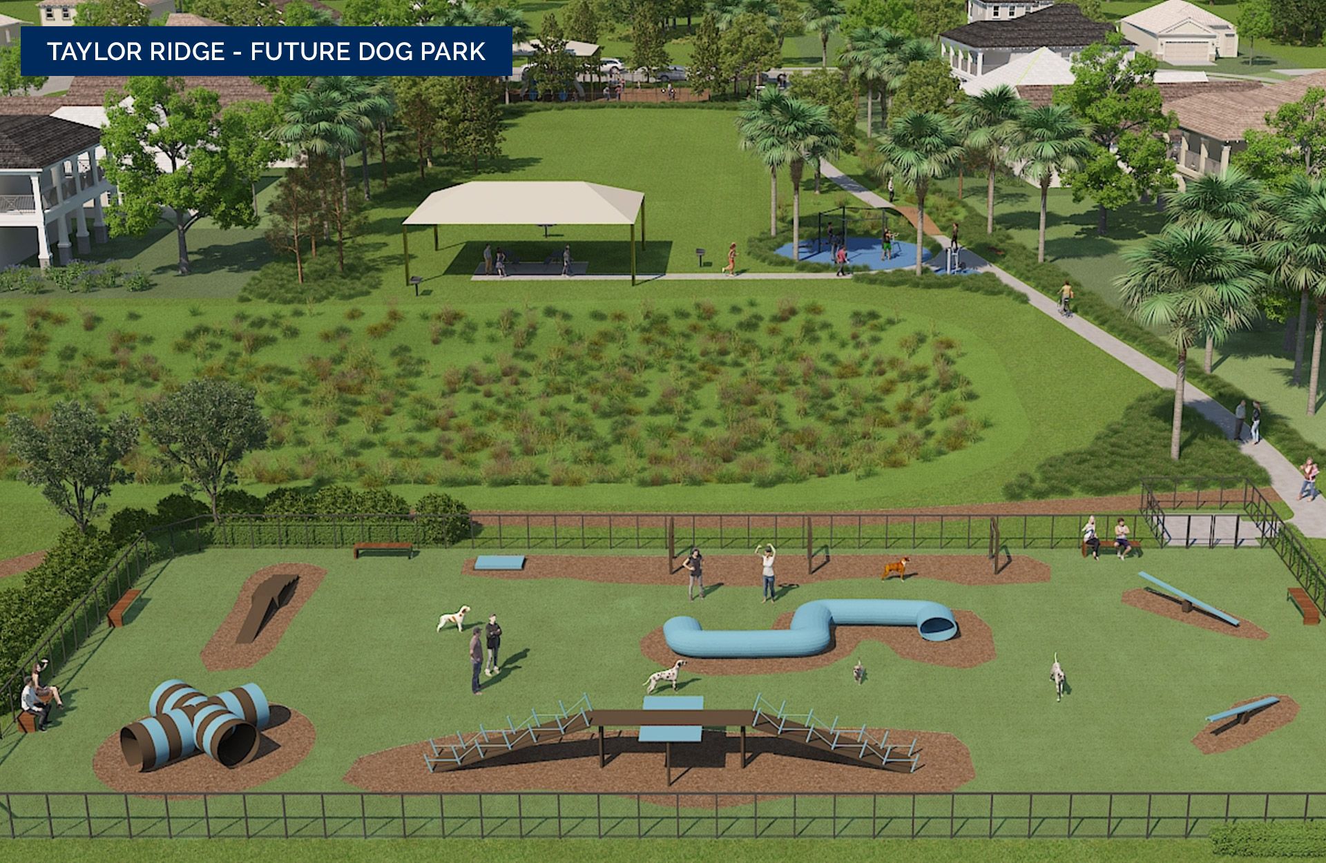 Taylor Ridge - future dog park (rendering)