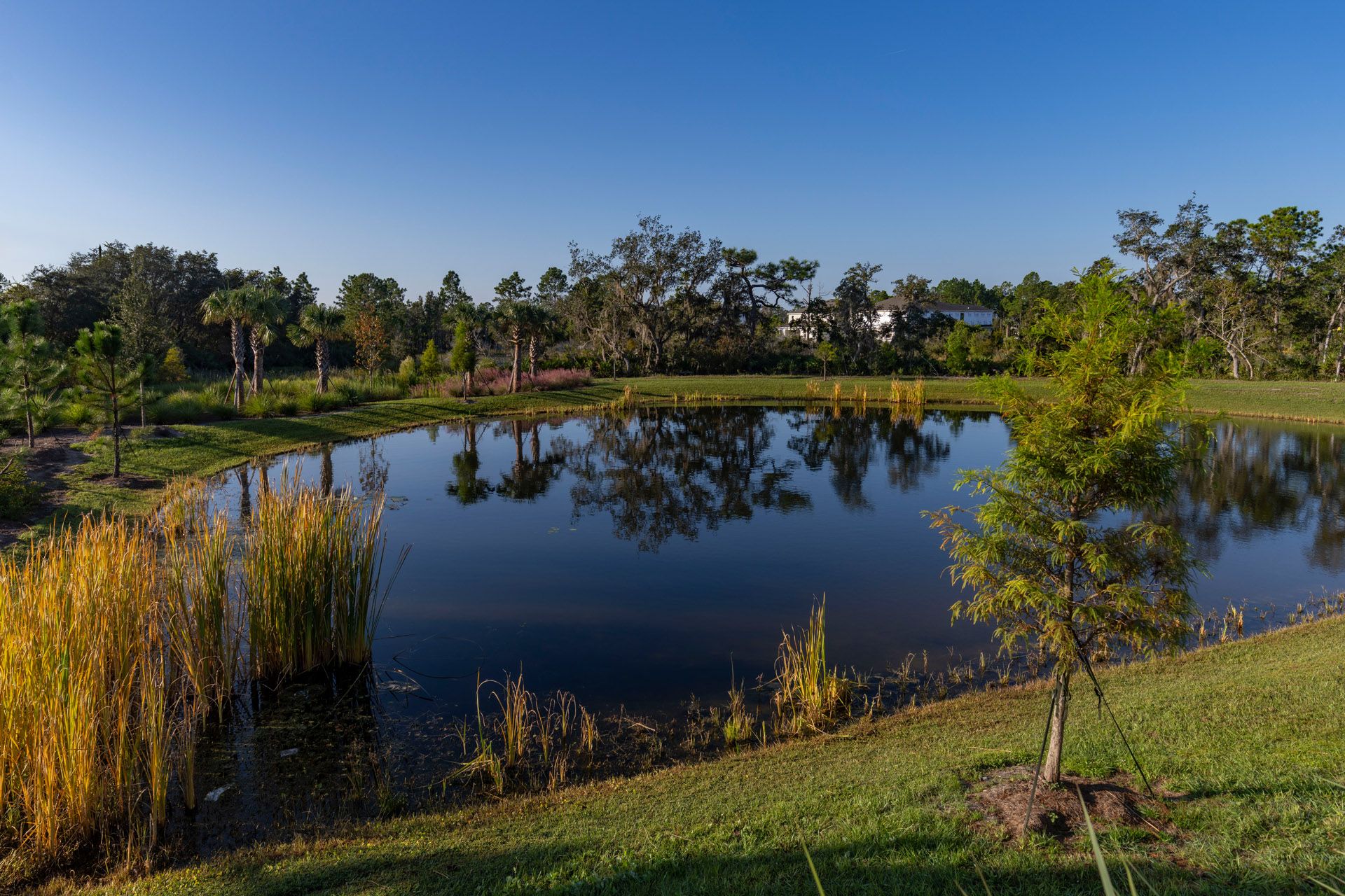 Trinity Gardens in DeLand, FL New Home Community Surrounded by Nature