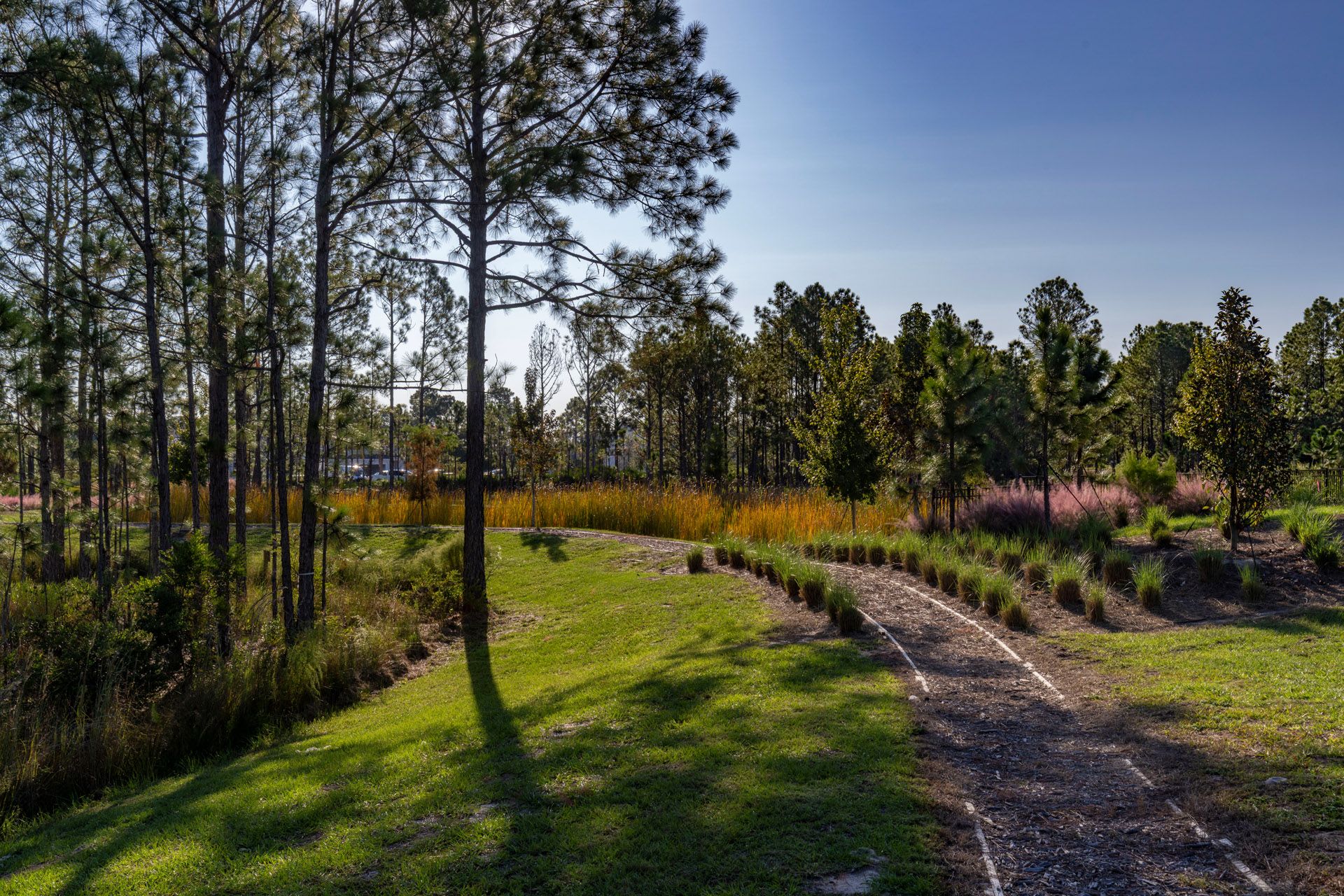 Trinity Gardens in DeLand, FL New Home Community Surrounded by Nature