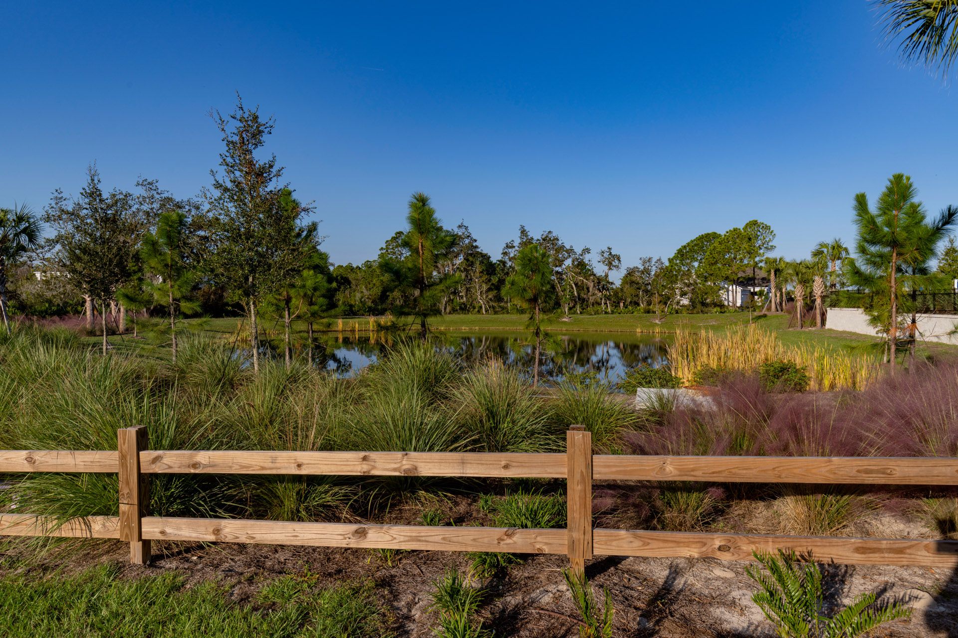 Trinity Gardens in DeLand, FL New Home Community Surrounded by Nature