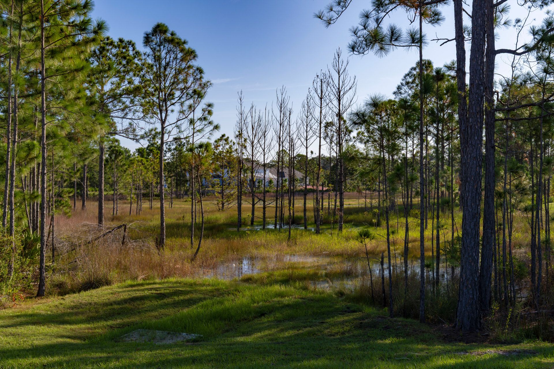 Trinity Gardens in DeLand, FL New Home Community Surrounded by Nature