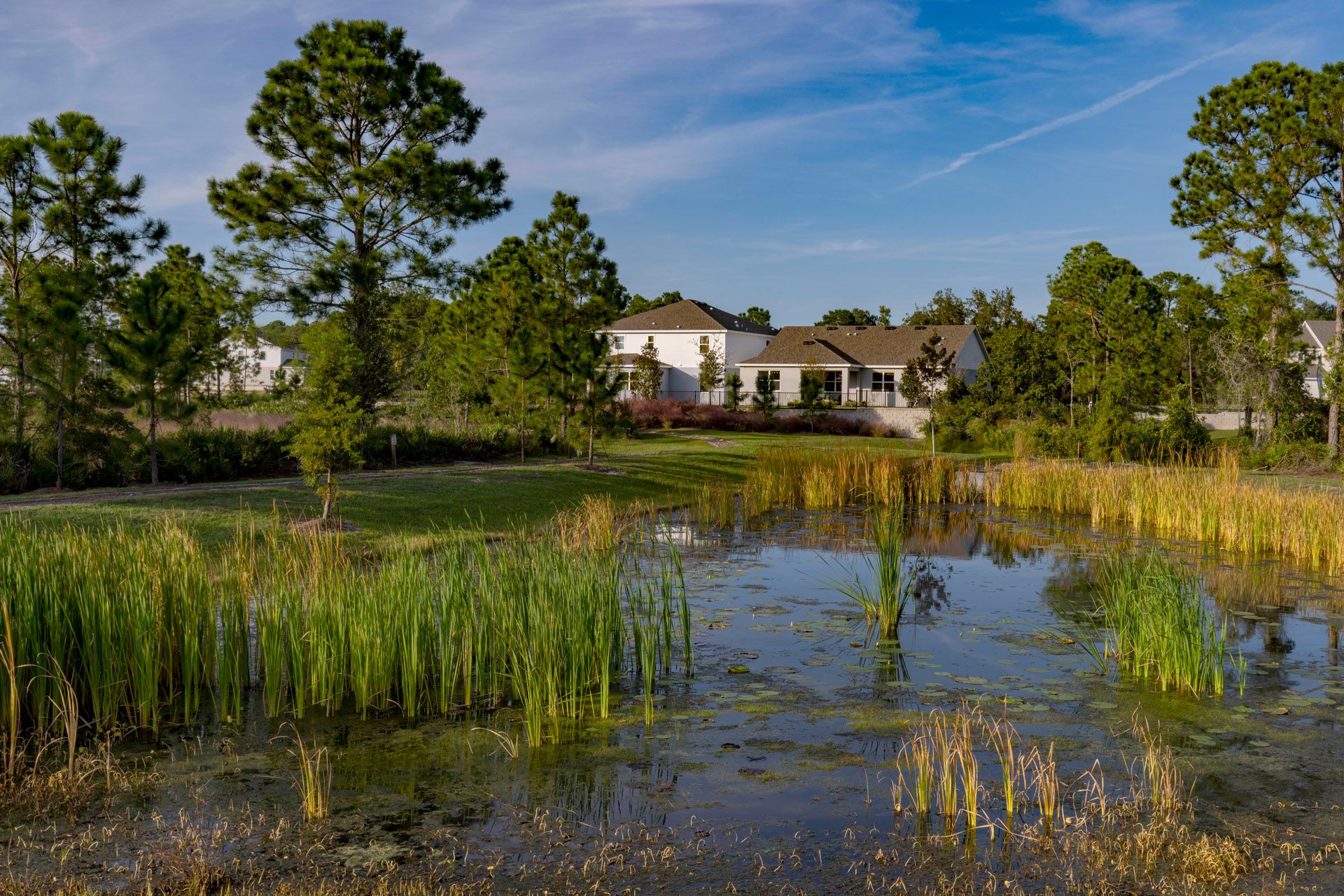 Trinity Gardens in DeLand, FL New Home Community Surrounded by Nature