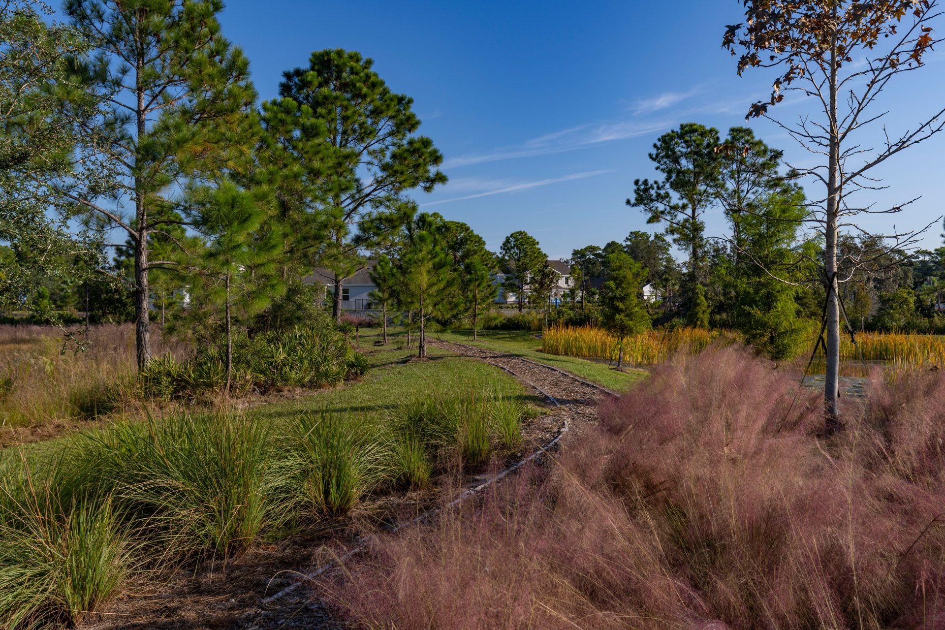 Trinity Gardens in DeLand, FL New Home Community Surrounded by Nature
