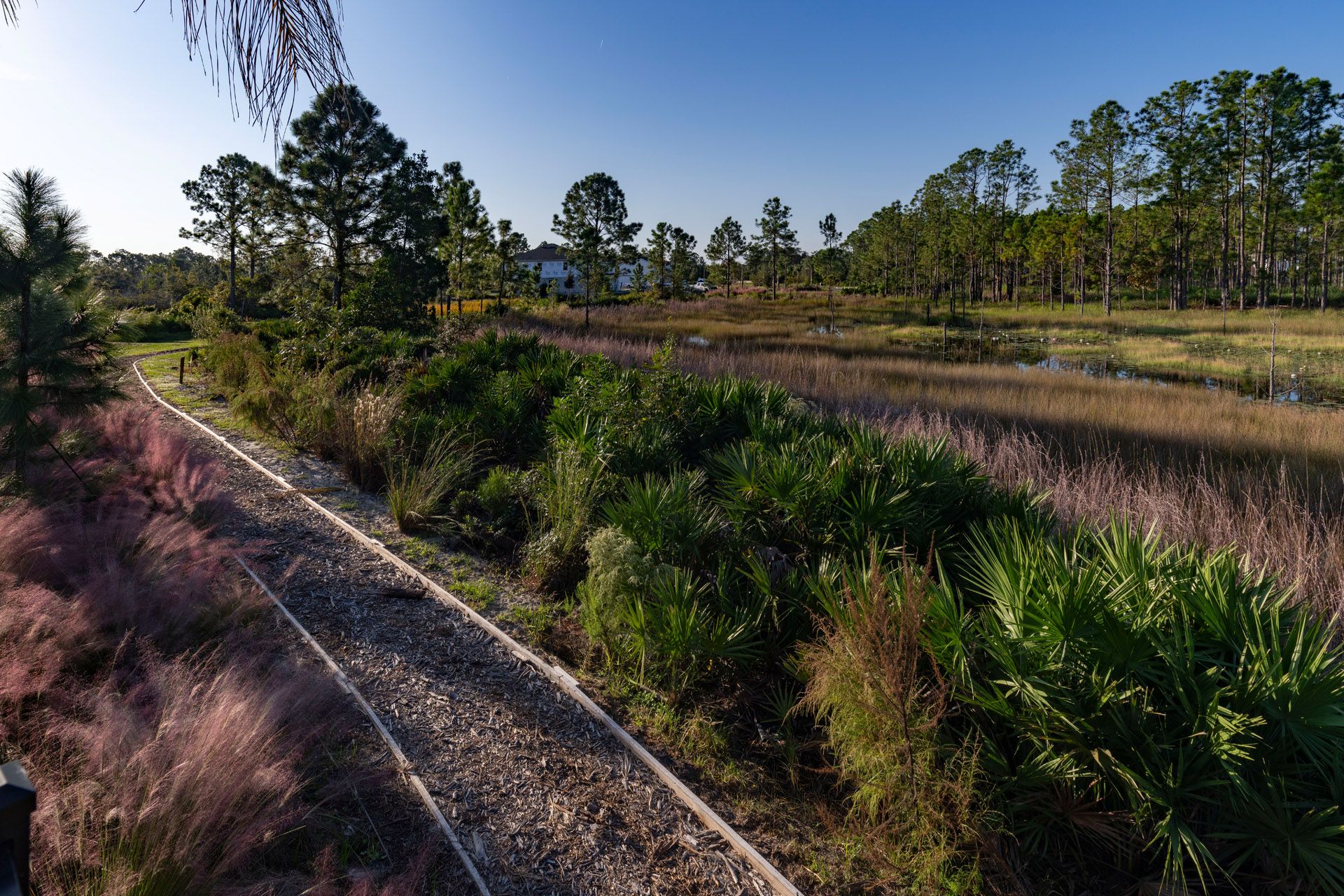 Trinity Gardens in DeLand, FL New Home Community Surrounded by Nature