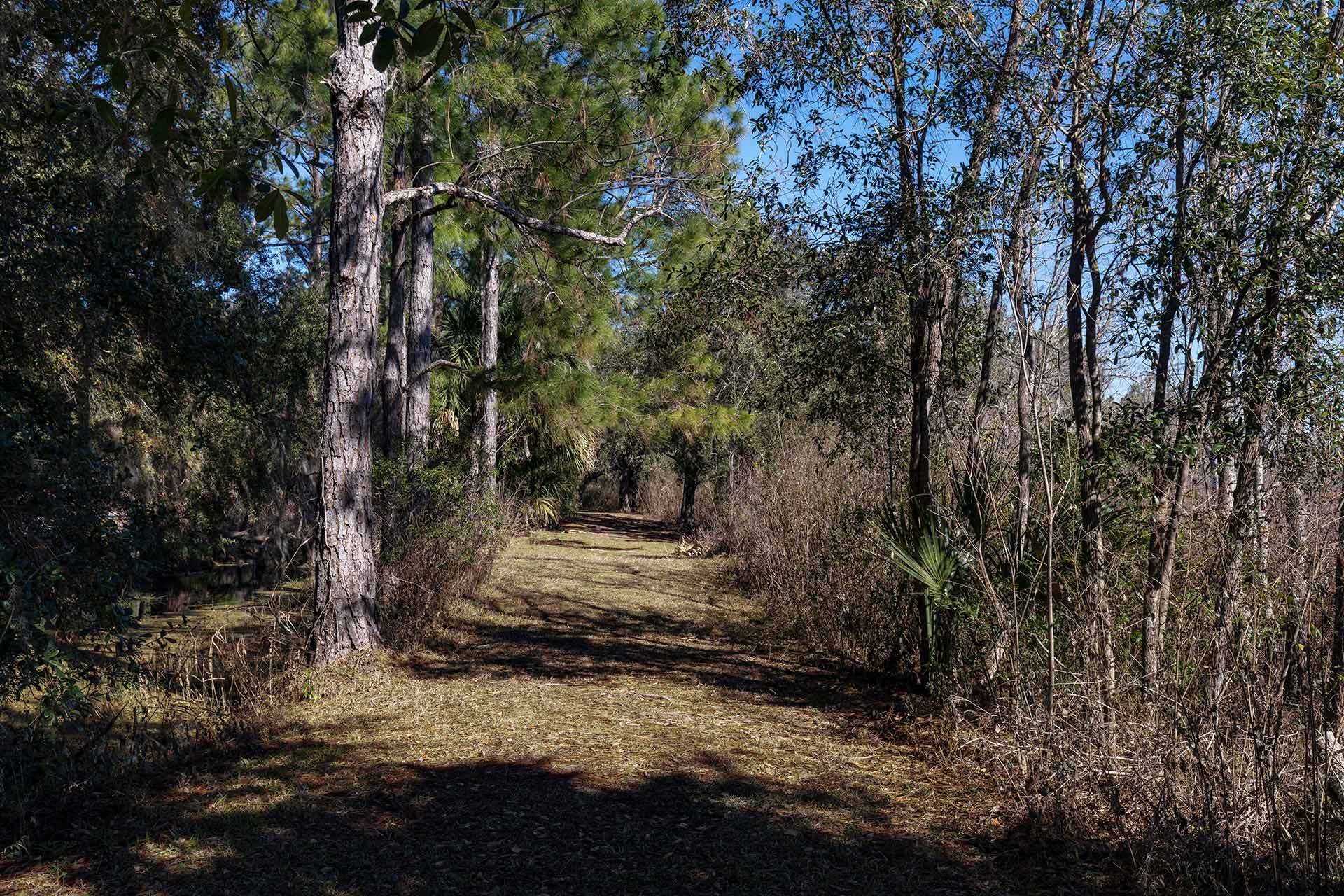 Pine Meadows Conservation Area