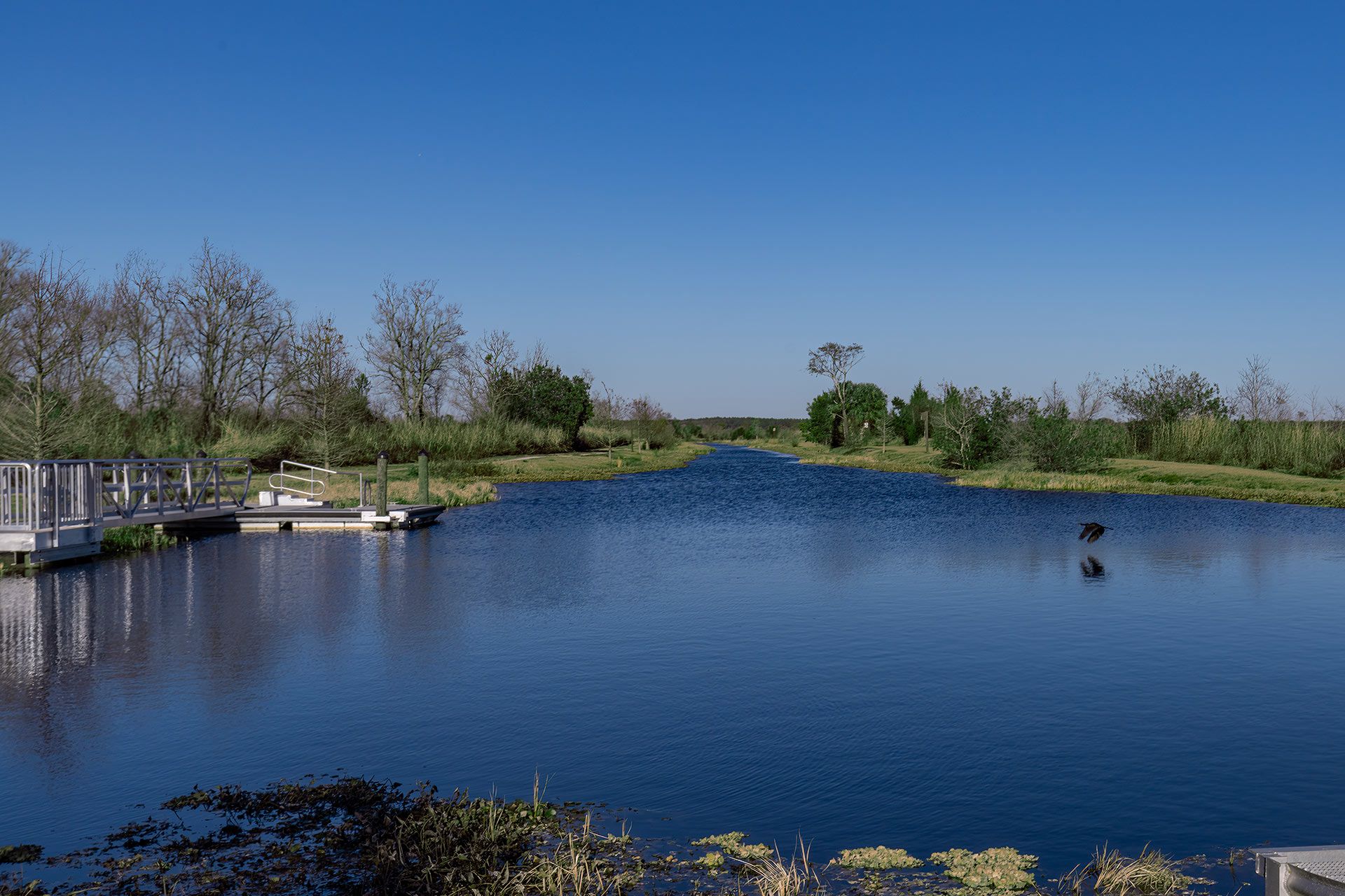 Pine Meadows Conservation Area