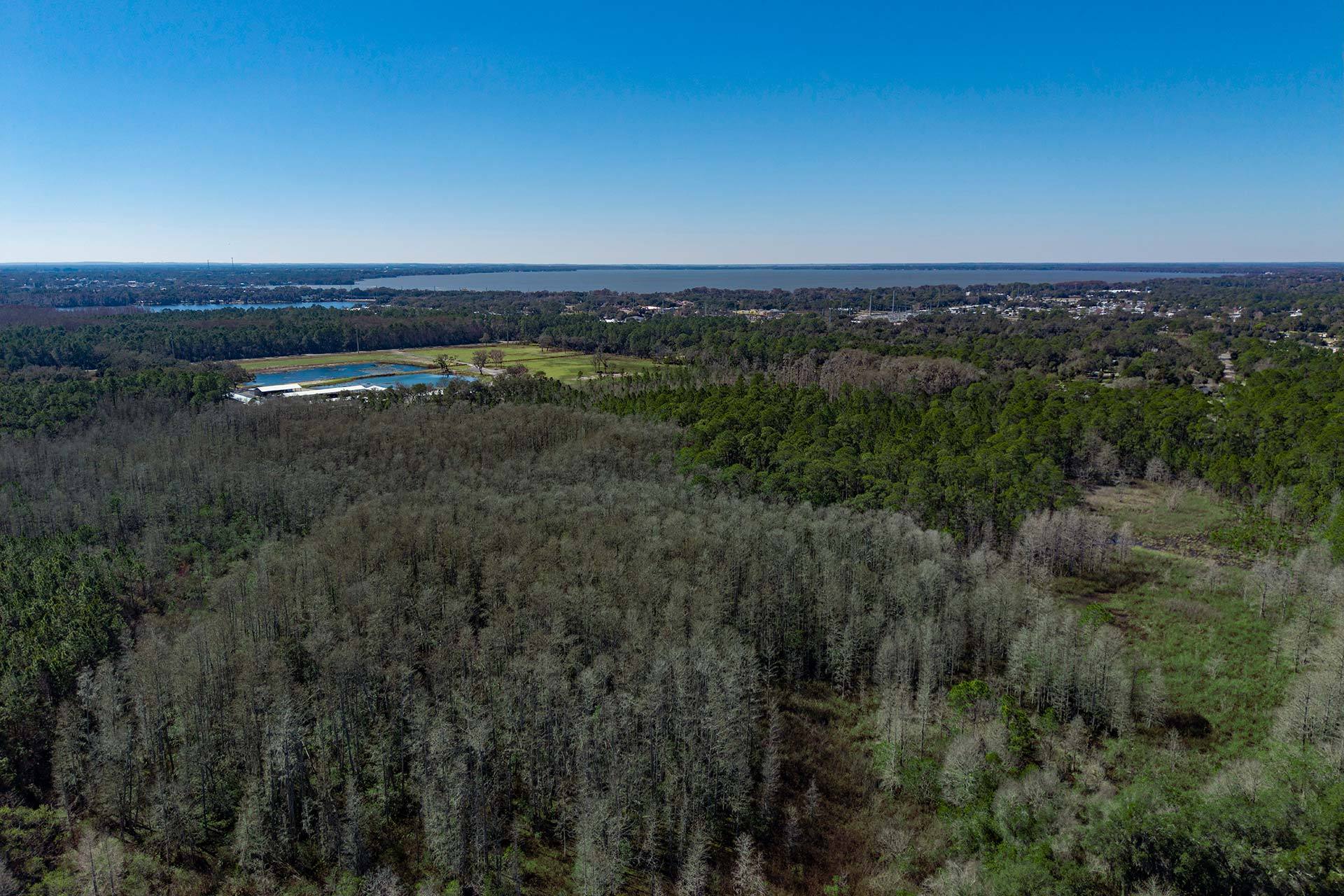 Pine Meadows Conservation Area